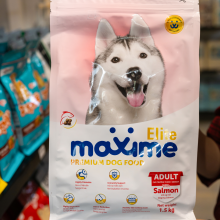 Hạt Maxime Adult