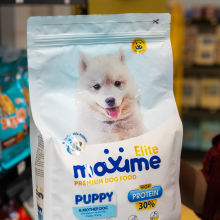 Hạt Maxime Puddy / Mother dog