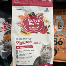 TODAY FOR ADULT CAT