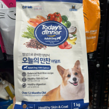 TODAY FOR ADULT DOG