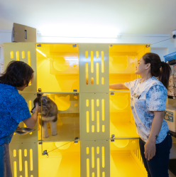 DỊCH VỤ CHĂM SÓC THÚ CƯNG CHUẨN SPA TẠI 24H PET SHOP