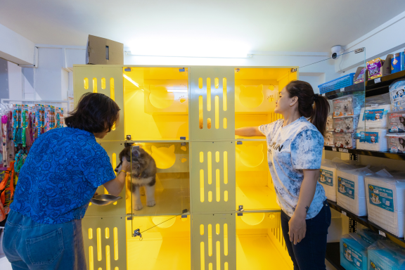 DỊCH VỤ CHĂM SÓC THÚ CƯNG CHUẨN SPA TẠI 24H PET SHOP
